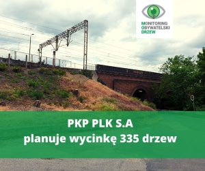 PKP PLK S.A. wnioskuje o wycinkę w Bydgoszczy