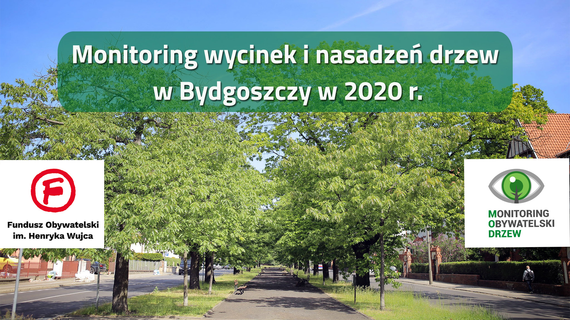 Wycinki i nasadzenia w Bydgoszczy w 2020 r. – podsumowujemy projekt z Funduszu Obywatelskiego